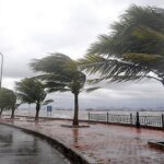 المغرب يحتضن المؤتمر العالمي السادس للقضاء على تشغيل الأطفال