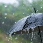 مجلس الحكومة يصادق على إحداث الوكالة الوطنية للمياه والغابات