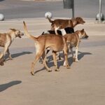 توقعات أحول الطقس ليوم الخميس